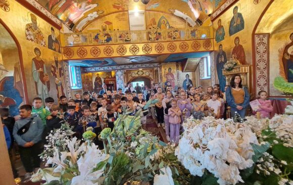Посебан дан у Мачванском Метковићу
